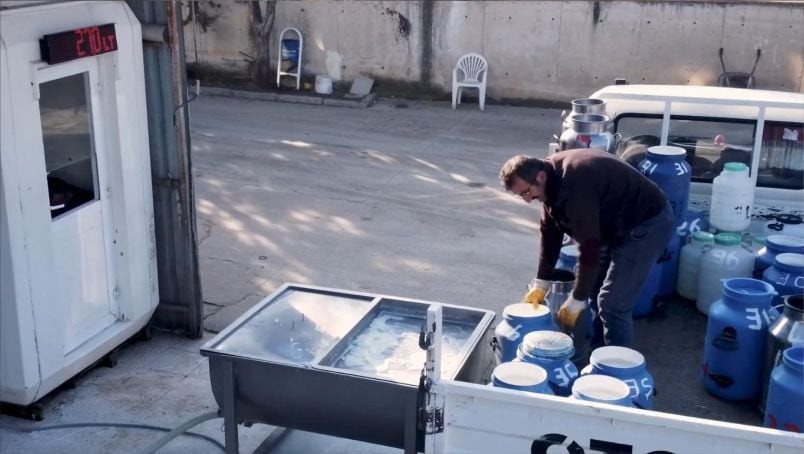 Sütçülük Hâlâ Kazandırıyor mu