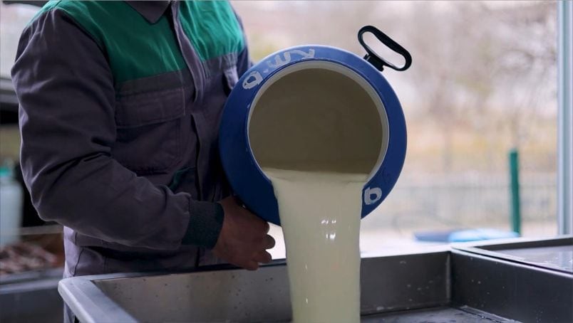 Sütçülük Hâlâ Kazandırıyor mu