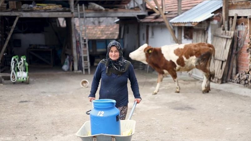 Sütçülük Hâlâ Kazandırıyor mu