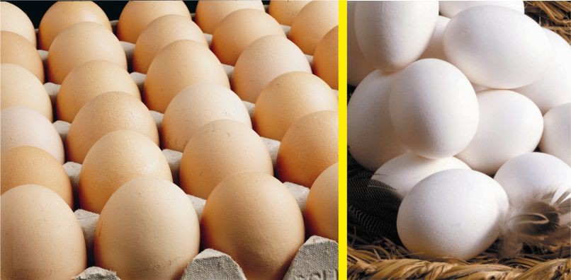 Balıkesir'de Köy Yumurtaları Nasıl Anlaşılır?