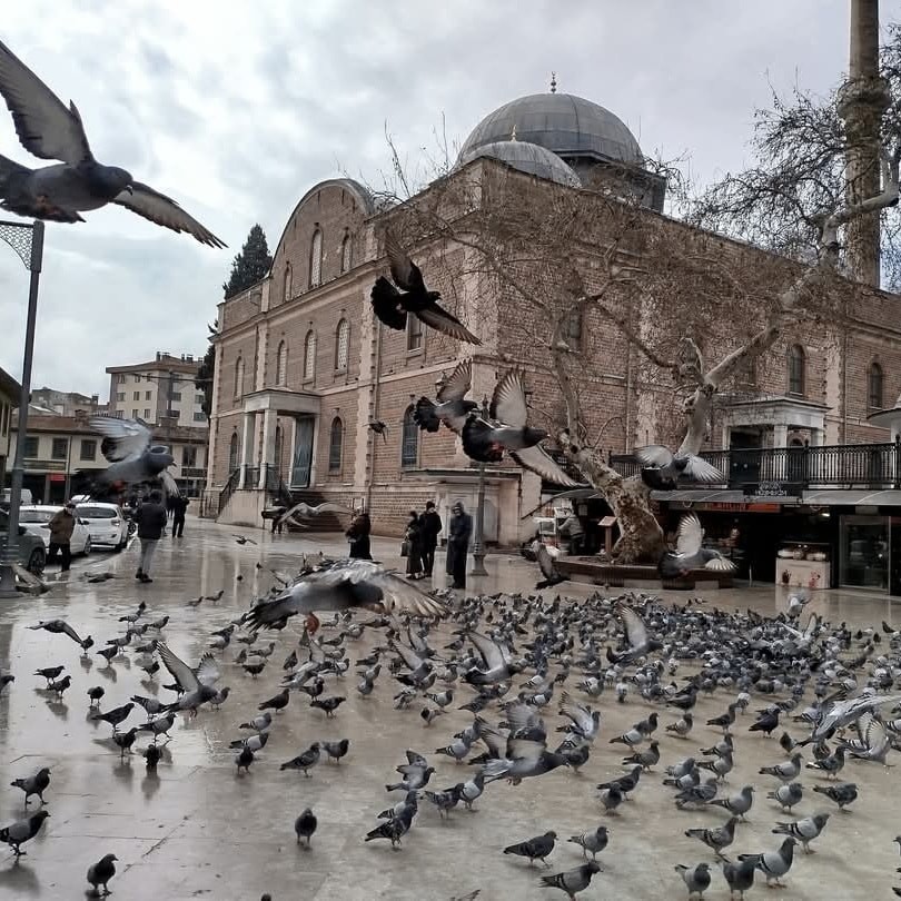  BAÜN Bilimi Halkla Buluşturuyor! 