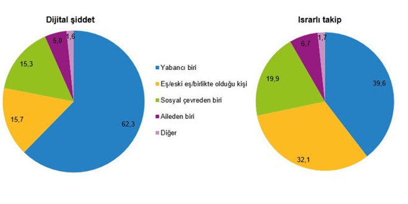 Kadına Şiddet Raporu: En Fazla Şiddet 35-44 Yaş Arasında - 1. resim