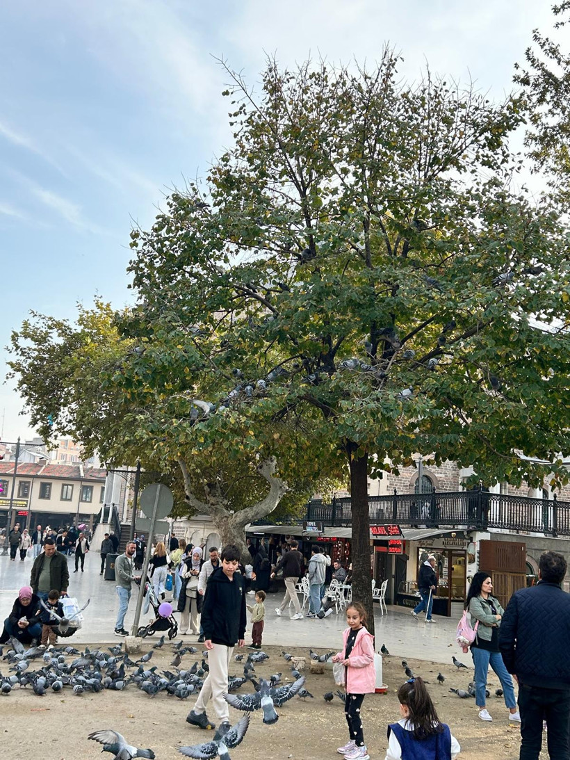 Balıkesir’de Güneşli Hafta Sonu Keyfi: Şehirde Bahar Havası Esti - 1. resim