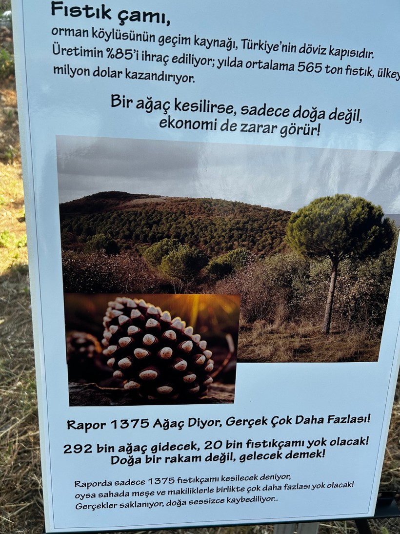  Dilek Yalçın: Her Canlının Bu Dünyada Yeri Var