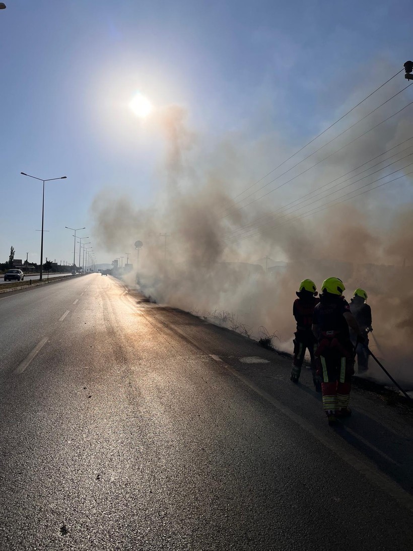 Burhaniye’de Ot Yangını Korkuttu, 