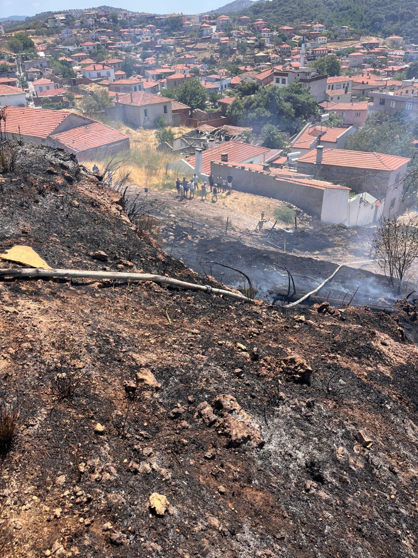 Burhaniye Pelitköy'de Ormanlık Alanda Yangın Korkuttu