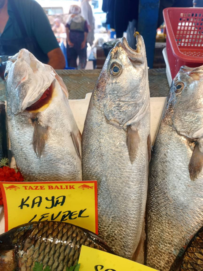 Balıkesir balık fiyatları: Alabalık, hamsi, karides, sardalya, sazan - 3. resim