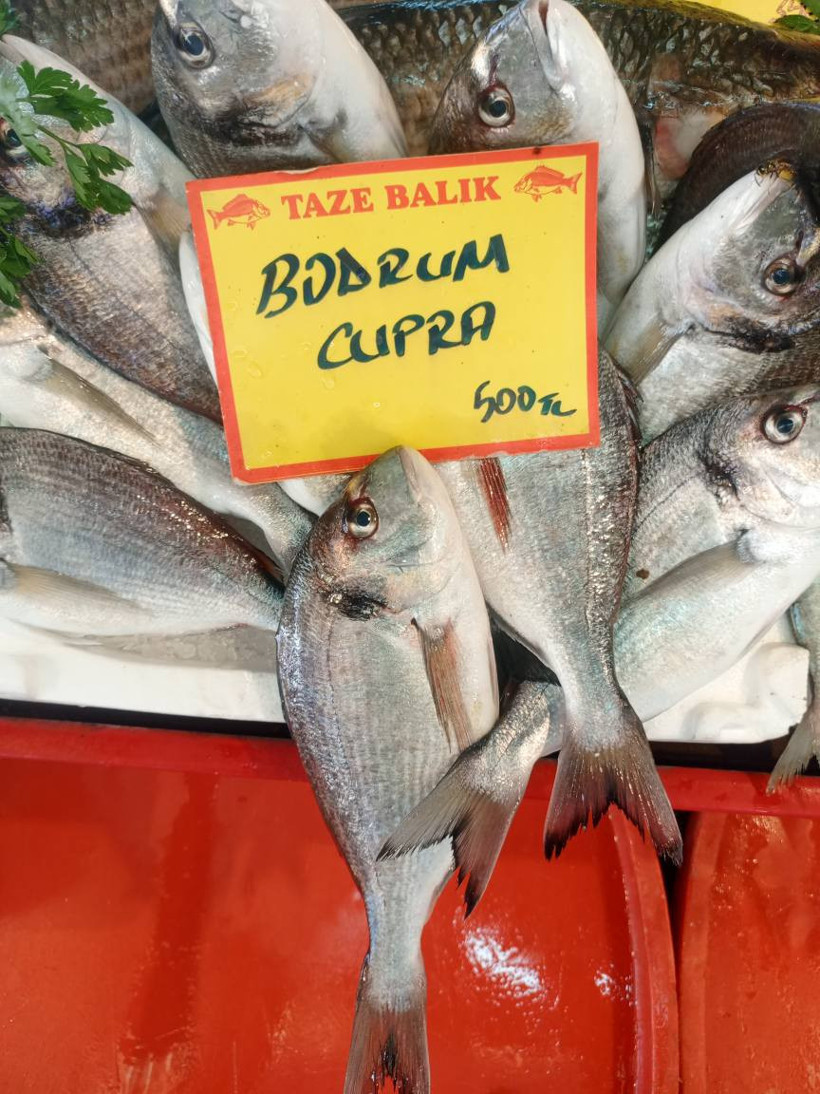 Balıkesir balık fiyatları: Alabalık, hamsi, karides, sardalya, sazan - 1. resim