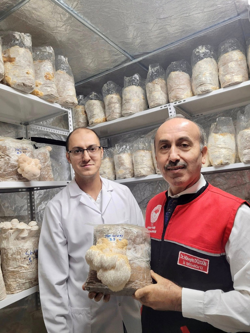 Balıkesir’de  Shiitake ve Kral İstiridye Raflarda