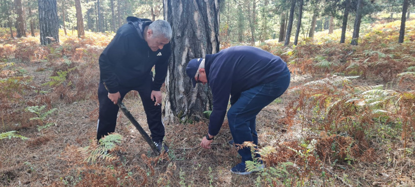 Kazdağları’nda Mantar Sezonu Başladı - 2. resim