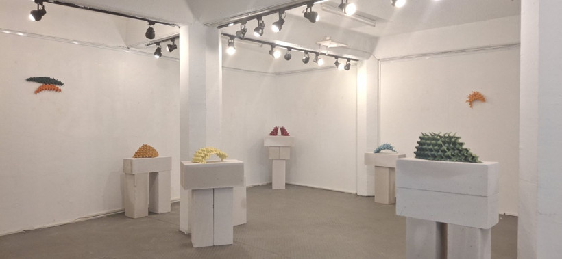 Kromatik Diyaloglar: Ayşe Canbolat’tan viyol ve kadın temalı seramik yolculuğu - Resim: 1