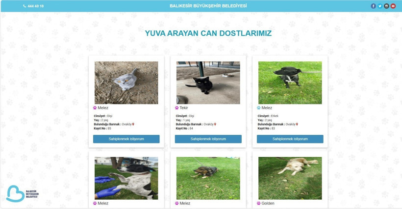 Balıkesir'de Hayvan Sahiplendirmek İsteyenler Dikkat!