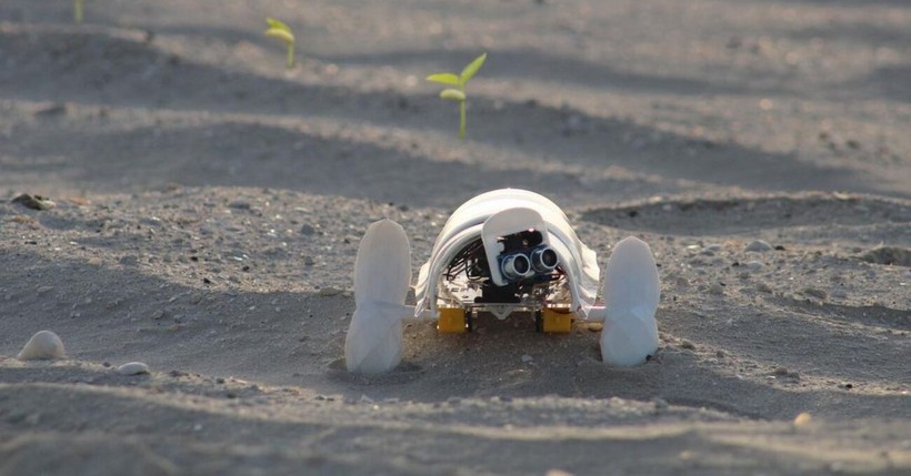 Çölü Yeşerten Minik Robot