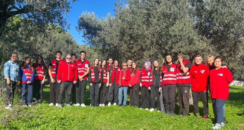Edremit'te Öğrenciler Kızılay İçin Zeytin Topladı