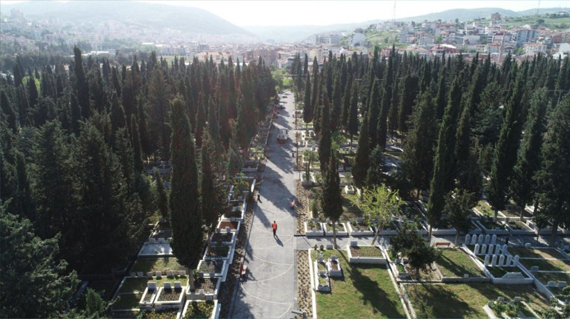 Mezarlıklara Neden Selvi Dikilir?
