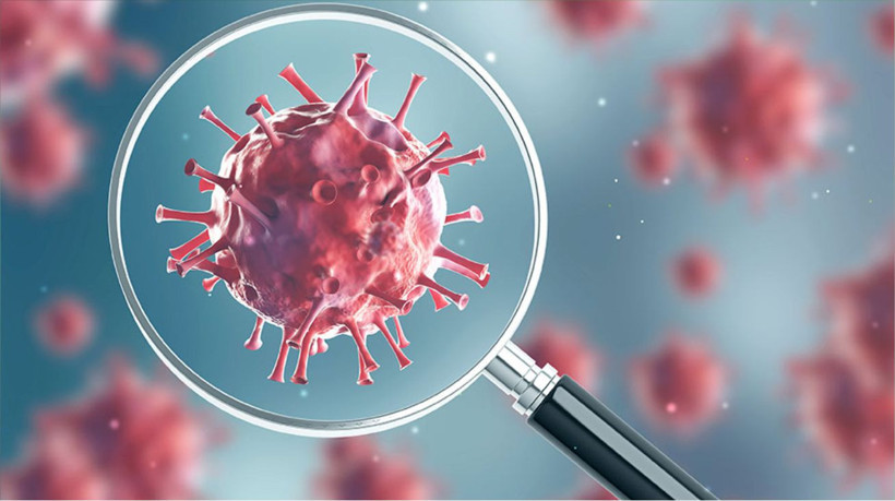 Influenza tehlikesi kapıda