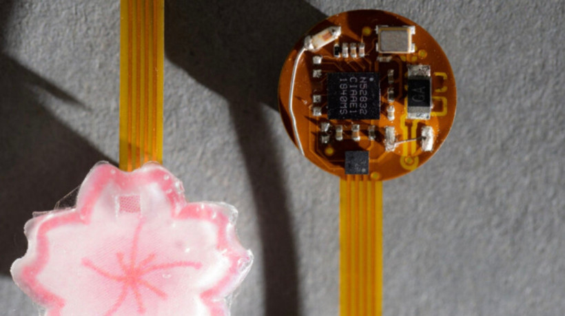 Kulaklarınızdan Sağlık Takibi