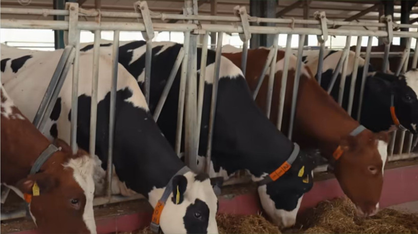 Bigadiç Çiftlikte İlham veren model