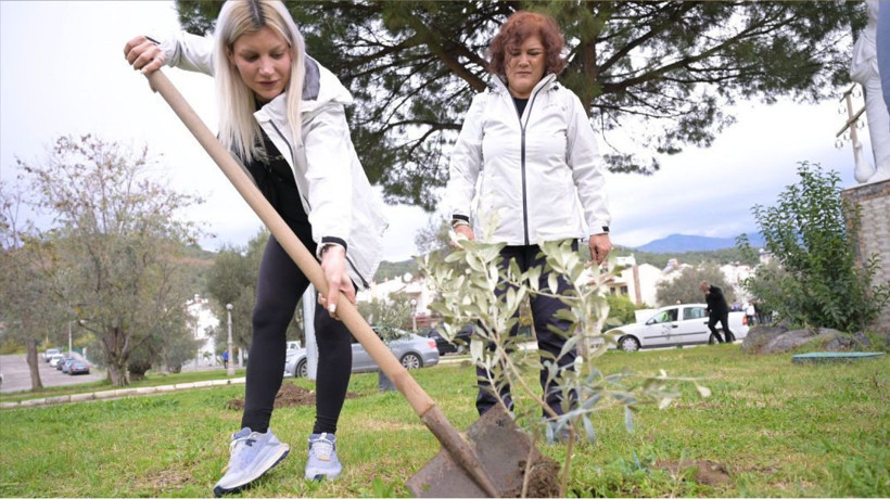 Kar Spor İda Ultra öncesinde zeytin fidanları toprakla buluştu