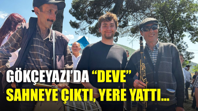 Gökçeyazı’da “Deve” Sahneye Çıktı, Yere Yattı…