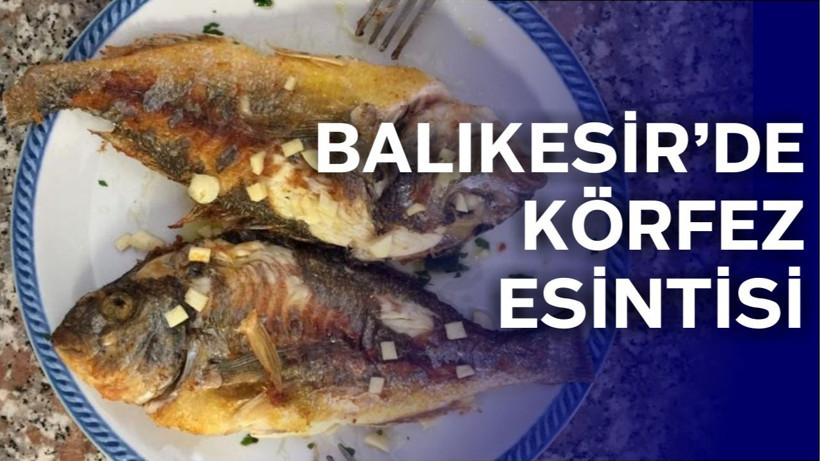 Balıkesir'in Körfez Balıklarıyla Sofrada Ege Esintisi