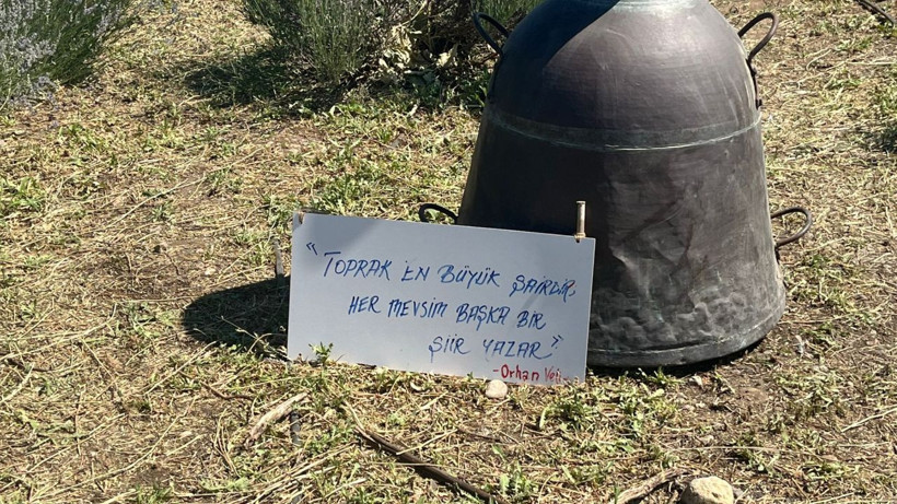 BAÇEM’de Aromaterapi Festivali: Çiçekler Konuştu, Toprak Şiir Oldu