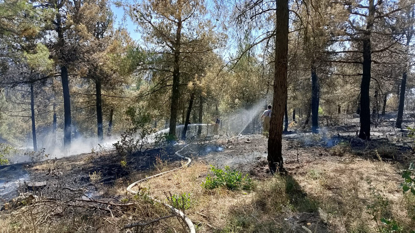 Burhaniye’deki orman yangını kontrol altına alındı