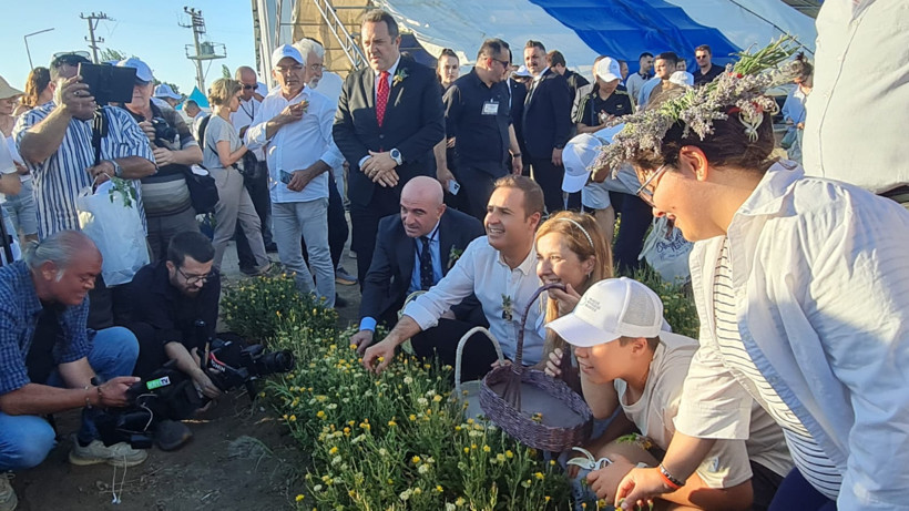 Aromaterapi Festivali’nde Doğal Şifa Aynısefa ve Hint Fesleğeni