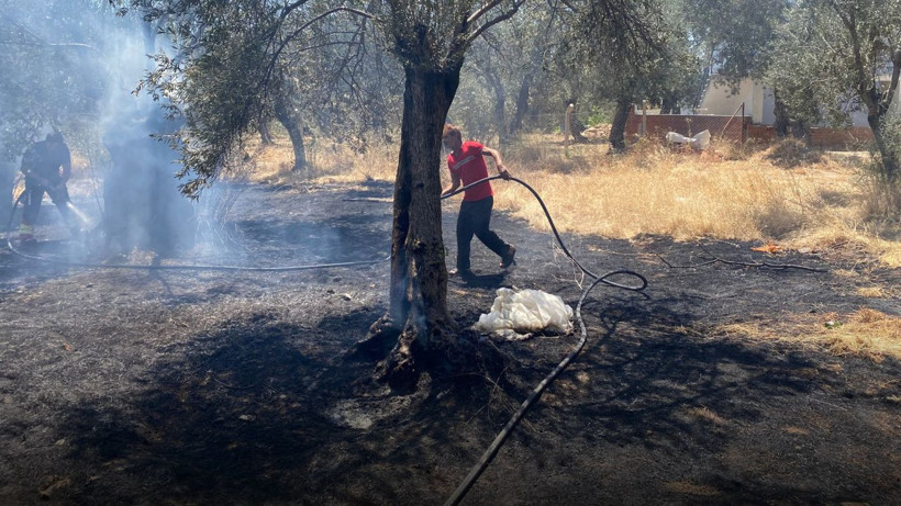 Altınoluk’ta Zeytinliği Yutan Alevlere Müdahale