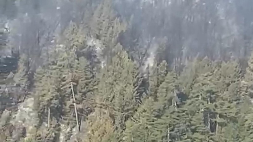 Sındırgı Kürendere’de Orman Yangını Kontrol Altına Alındı Soğutma Çalışmaları Sürüyor