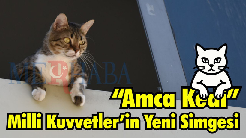 “Amca Kedi” Milli Kuvvetler’in Yeni Simgesi