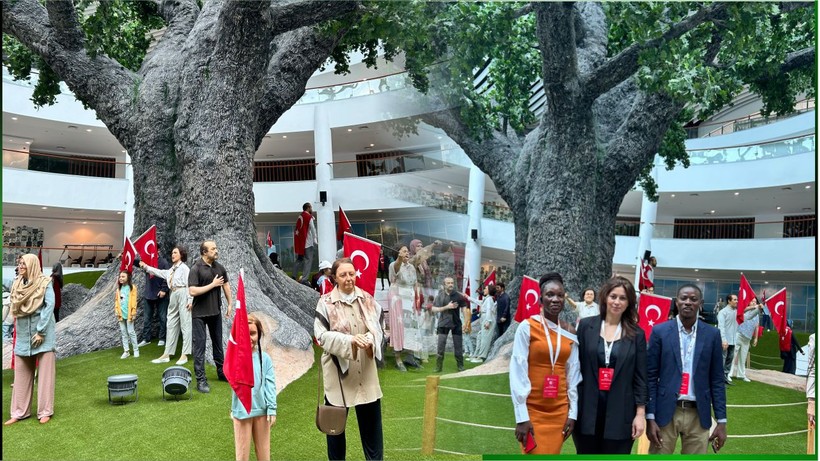 demokrasi müzesinde en büyük dev çınar ağacı