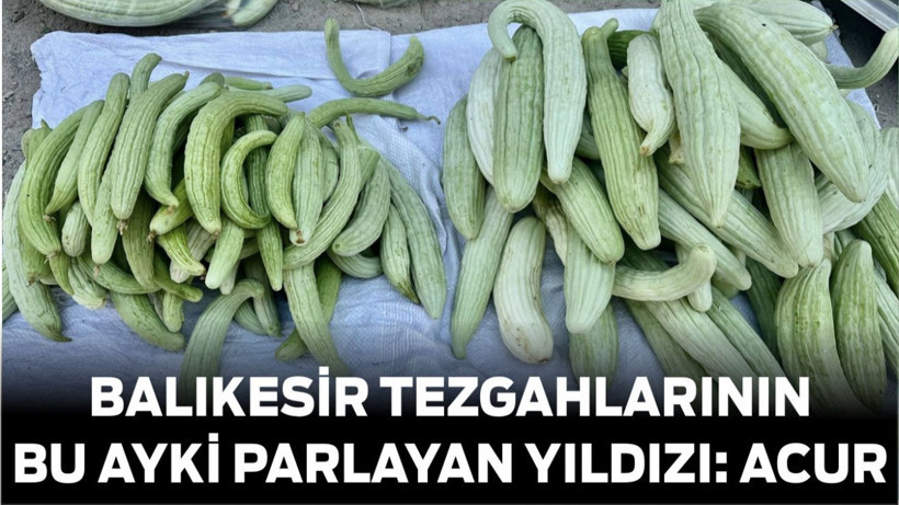 Balıkesir Tezgahlarının Bu Ayki Parlayan Yıldızı: Acur