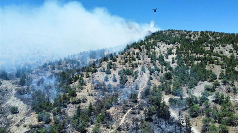 Eymir Gölü Orman Yangını Kontrol Altında: Yangının Nedeni Araştırılıyor