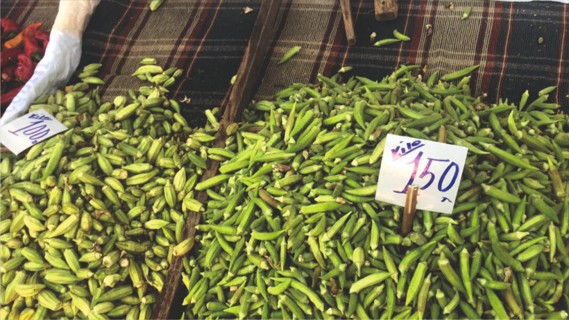 “Altınla Yarışan Bamya Balıkesir’de Ucuzladı mı?”