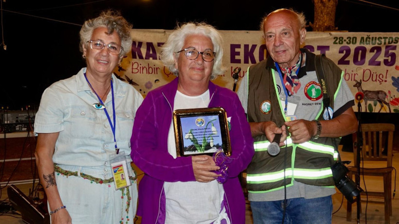 festival ödül