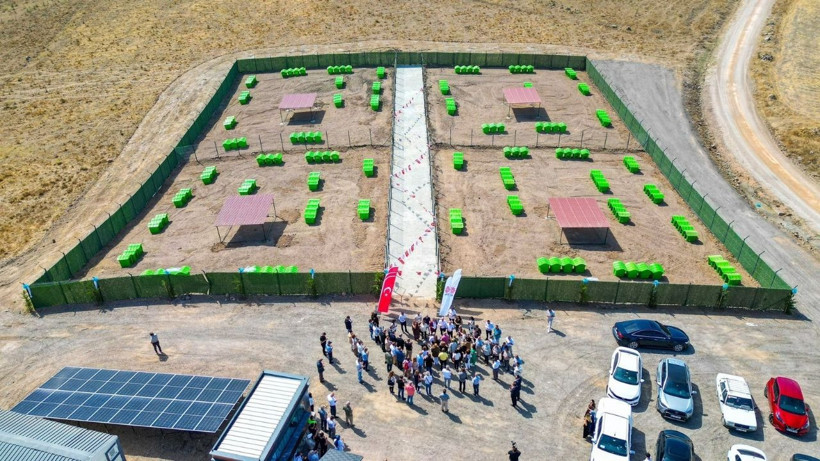 Karesi'de Sokak Hayvanları İçin ''Doğal Yaşam Alanı'' Açıldı