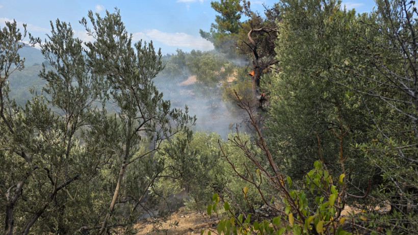 Edremit Ortaoba’da Zeytinlik Yangını