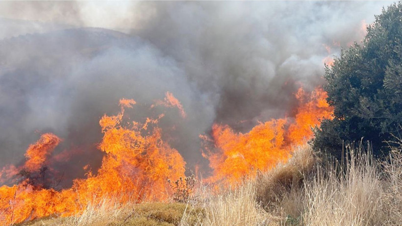 Balıkesir'de çıkan orman yangını kontrol altına alındı