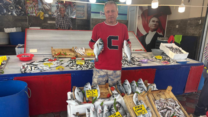 Balıkesir’de Sardalya Bereketi: Fiyatlar İstanbul’un Yarısı!