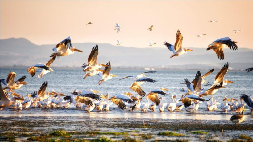 Kartpostallık Görüntüler Balıkesir’den