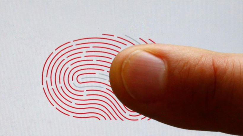 Parmak İzleri Neden Bu Kadar Hızlı Belli Oluyor?