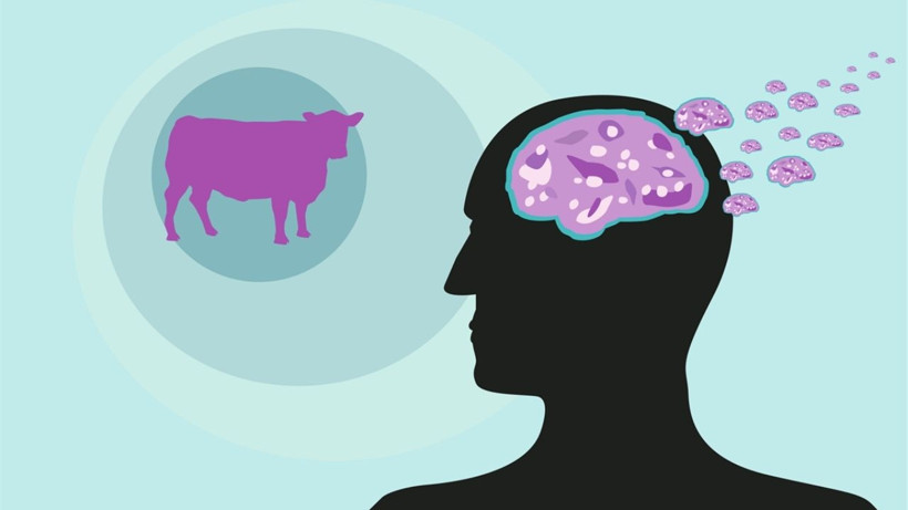 Deli Dana Hastalığı Nedir? - 1. resim