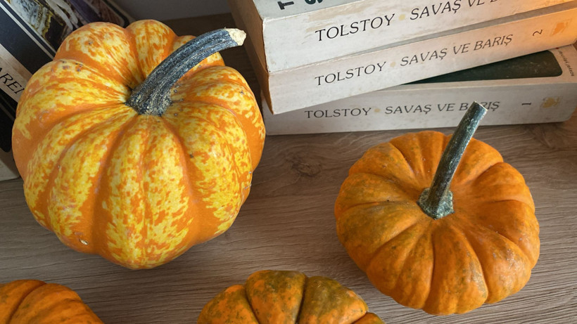 Süs Kabakları Nerede Kullanılır? Balıkesir’den İlham Veren Fikirler - 2. resim