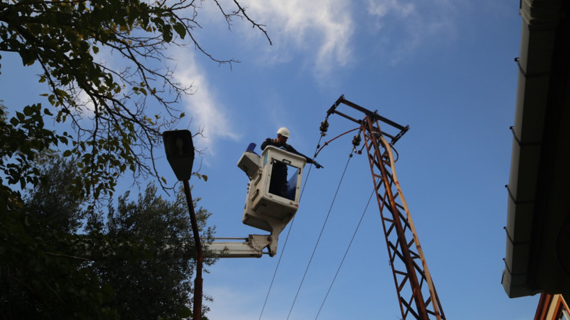 Kargaların Dansı 3 Bin Kişiyi Karanlığa Gömdü