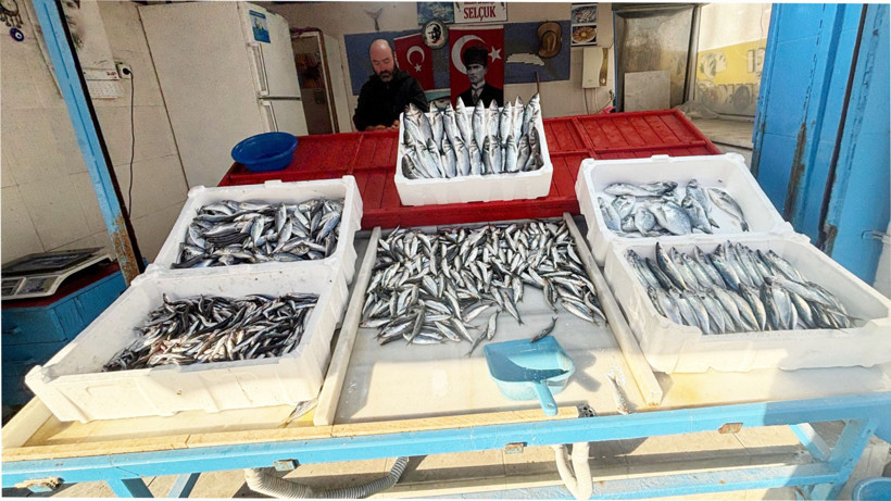 balıkesir balık tabağından uzaklaşıyormu