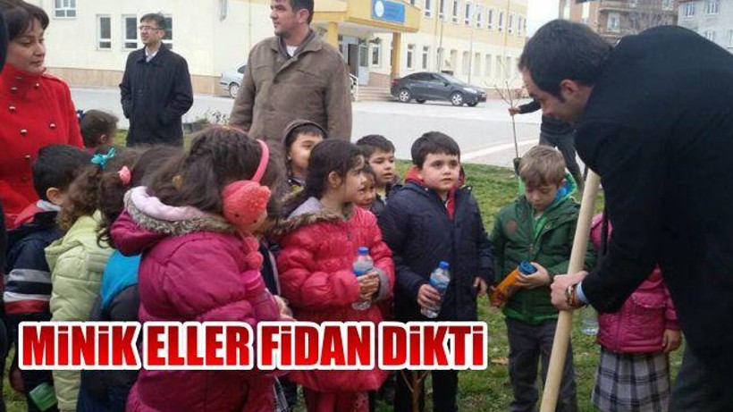 Minik Eller Fiden Dikti