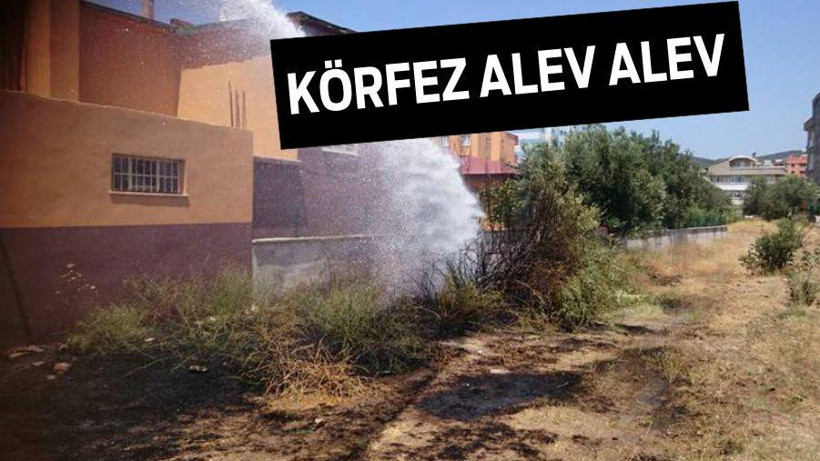 KÖRFEZ ALEV ALEV