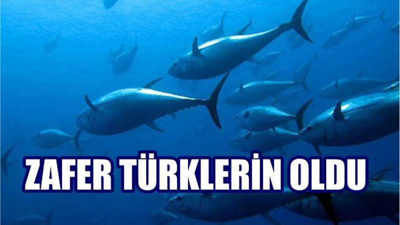 Orkinos avlanma kotasında zafer Türklerin oldu