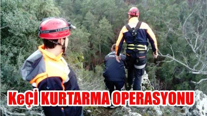 İTFAİYE EKİPLERİ MAHSUR KALAN KEÇİLERİ KURTARDI
